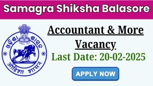 Samagra Shiksha Balasore Accountant, Part Time Teacher English & Other Recruitment 2025 - Apply Offline