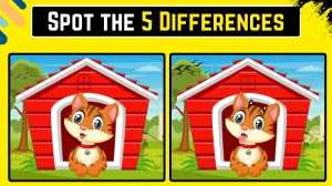 Spot the 5 Difference Picture Puzzle Game: Prove your Sharp Eyes by Spotting the 5 Differences in this Cat Image in 10 Secs