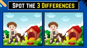 Spot the Difference Game: Only Sharp Minds Can Spot the 3 Differences in this Boy and his Dog Image in 10 Secs