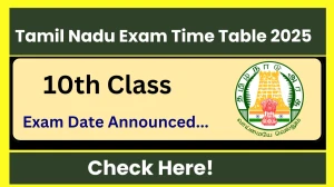 Tamil Nadu 10th Class Time Table 2025 Out dge.tn.gov.in Check Time Table Here