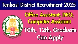 Tenkasi District Office Assistant, DEO, Computer Assistant Recruitment 2025 - Apply Offline