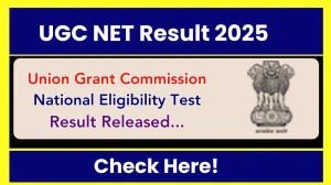 UGC NET Result 2025 Out at ugcnet.nta.ac.in How to check JEE Main Results Here UGC NET Result 2025 Out at ugcnet.nta.ac.in How to check JEE Main Results Here