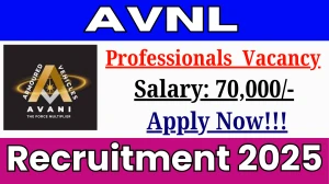 VFJ Professionals Recruitment 2025 - Apply Offline