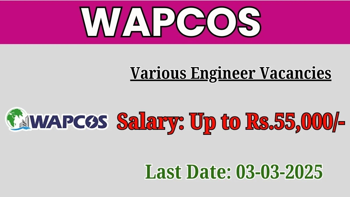 WAPCOS Various Engineer Recruitment 2025 - Apply Offline