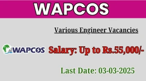 WAPCOS Various Engineer Recruitment 2025 - Apply Offline