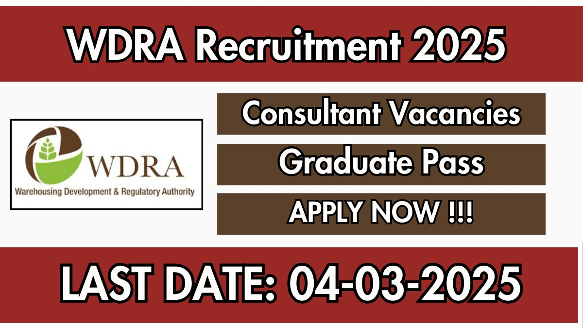 WDRA Consultant Recruitment 2025 Apply Offline