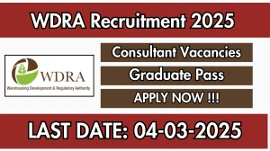 WDRA Consultant Recruitment 2025 - Apply Offline