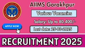 AIIMS Gorakhpur DEO, Computer Programmer and Other Recruitment 2025 - Apply Online