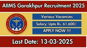 AIIMS Gorakhpur DEO, Research Scientist and Other Recruitment 2025 - Apply Offline