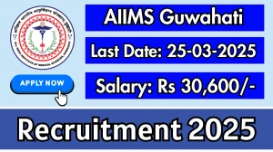 AIIMS Guwahati Senior Project Assistant, DEO Recruitment 2025 - Apply Online