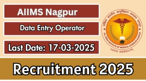AIIMS Nagpur Data Entry Operator Recruitment 2025 - Apply Online for