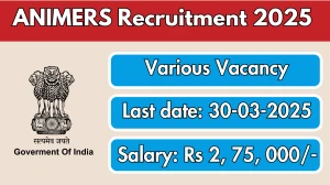 ANIMERS Dean Academics, Medical Superintendent Recruitment 2025 - Apply Offline