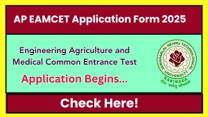 AP EAMCET Application Form 2025 - Check Registration, Eligibility, Dates, Apply Online at cets.apsche.ap.gov.in