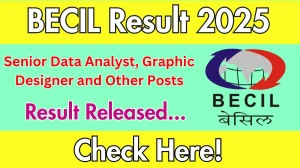 BECIL Senior Data Analyst, Graphic Designer and Other Posts Result 2025 OUT at becil.com