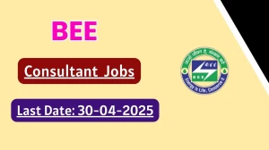 BEE Consultant Recruitment 2025 - Apply Offline for 4 Posts