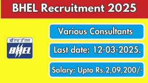 BHEL Senior Associate Consultant Recruitment 2025 - Apply Online for 1 Posts