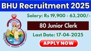 BHU Junior Clerk Recruitment 2025 - Apply Online for 80 Posts BHU Junior Clerk Recruitment 2025 - Apply Online for 80 Posts