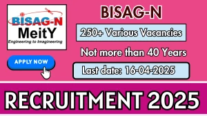 BISAG-N Various Posts Recruitment 2025 - Apply Offline for 298 Posts