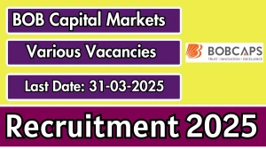 BOB Capital Markets Recruitment 2025 - Apply Offline for Executive, Research Analyst and More Posts