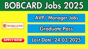 BOBCARD AVP/ Manager Recruitment 2025 - Apply Offline