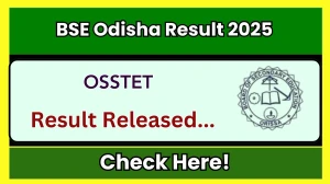 BSE Odisha OSSTET Result 2025 Out at bseodisha.ac.in How to check Results Here