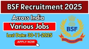 BSF Group A Recruitment 2025 - Apply Offline for 9 Posts