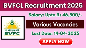 BVFCL Engineer, Officer and Other Recruitment 2025 - Apply Online