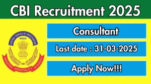 CBI Consultant Recruitment 2025 - Apply Online