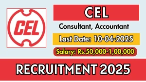 CEL Consultant, Accountant Recruitment 2025 - Apply Online CEL Consultant, Accountant Recruitment 2025 - Apply Online