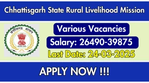 Chhattisgarh State Rural Livelihood Mission Development Block Project Manager, Regional Coordinator Recruitment 2025 - Apply Offline