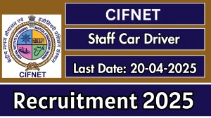 CIFNET Staff Car Driver Recruitment 2025 - Apply Offline