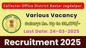 Collector Office District Bastar Jagdalpur Peon, Accountant and Other Recruitment 2025 - Apply Offline for 16 Posts