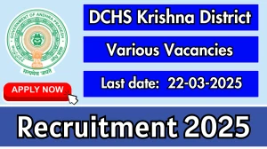DCHS Krishna District Various Posts Recruitment 2025 - Apply Offline for 33 Plumber, Radiographer and More Posts DCHS Krishna District Various Posts Recruitment 2025 - Apply Offline for 33 Plumber, Radiographer and More Posts