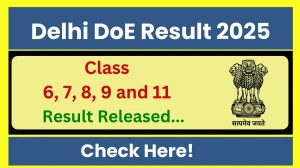 Delhi DoE Class 6, 7, 8, 9 and 11 Result 2025 Out at edudel.nic.in How to check Results Here