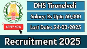 DHS Tirunelveli Various Posts Recruitment 2025 - Apply Offline for 48 Posts