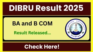 DIBRU Result 2025 Released at dibru.ac.in Direct Link to Download UG Course Result