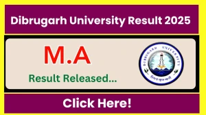 Dibrugarh University Result 2025 Released at dibru.ac.in Direct Link to Download 1st Semester Result