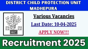 District Child Protection Unit Madhepura Various Posts Recruitment 2025 - Apply Offline