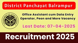 District Panchayat Balrampur Office Assistant cum Data Entry Operator, Peon and More Recruitment 2025 - Apply Offline for 7 Posts