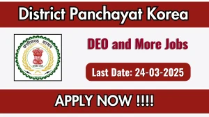 District Panchayat Korea DEO, Regional Coordinator and Other Recruitment 2025 - Apply Offline