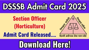 DSSSB Section Officer Admit Card 2025 OUT dsssb.delhi.gov.in DSSSB Section Officer Admit Card 2025 OUT dsssb.delhi.gov.in
