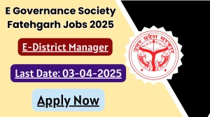 E Governance Society Fatehgarh E District Manager Recruitment 2025 - Apply Offline