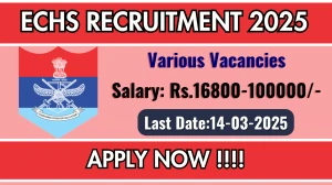 ECHS DEO, Peon, Safaiwala and Other Recruitment 2025 - Apply Offline for 20 Posts