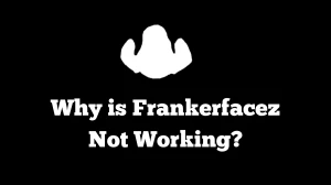 Frankerfacez Not Working How to Fix Frankerfacez Not Working Issue?