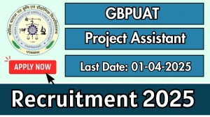 GBPUAT Project Assistant Recruitment 2025 - Apply Offline for 01 Posts