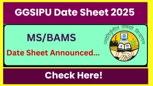 GGSIPU Date Sheet 2025 Announced @ ipu.ac.in Details Here GGSIPU Date Sheet 2025 Announced @ ipu.ac.in Details Here
