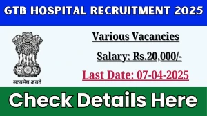 GTB Hospital Project Technical Support Recruitment 2025 - Apply Offline for 1 Posts