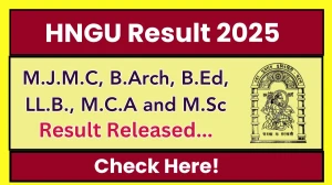 HNGU Result 2025 Released at ngu.ac.in Direct Link to Download 2nd, 3rd, 4th, 5th, 7th and 8th Semester Result