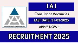 IAI Consultant Recruitment 2025 - Apply Online