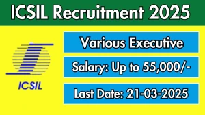 ICSIL Various Executive Recruitment 2025 - Apply Online for 4 Posts
